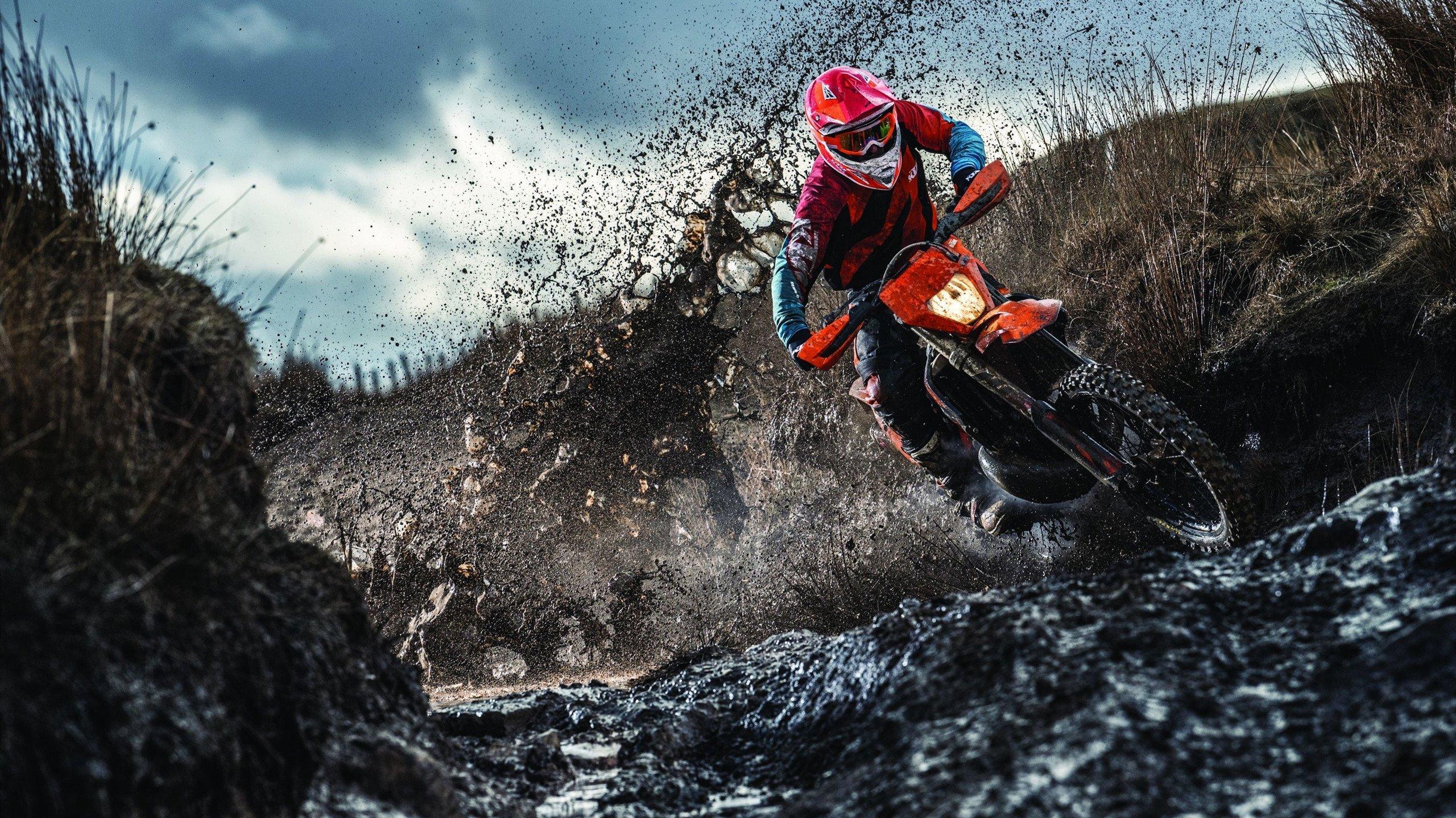 前双冠王者堀口恭司震撼回归UFC，亚洲格斗传奇再战世界之巅